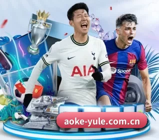 aoke APP 界面（okooo）